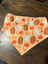 Load image into Gallery viewer, Bear Bandana