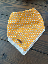 Load image into Gallery viewer, Bear Bandana