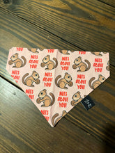 Load image into Gallery viewer, Bear Bandana