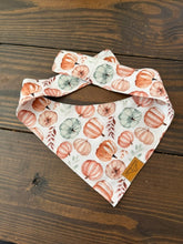 Load image into Gallery viewer, Bear Bandana

